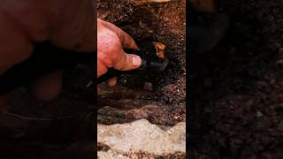 FINDING GOLD NUGGETS FAST gold nuggets prospecting shorts goldmining crack [upl. by Pascale]