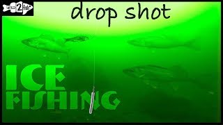 How to Ice Fish Walleye with the Drop Shot Rig [upl. by Haydon]