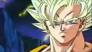 DBZ AMVGoku Warrior Disturbed [upl. by Natanhoj]