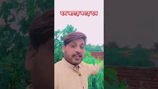 Agadam bagadam kamleshcomedy comedyfilms funny comedymovies song kamleshcomedynew [upl. by Healey760]