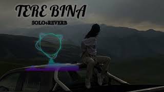 tere bina slow reverb  lofi song  songs [upl. by Dnalor]