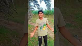 Dumka wali santhali shorts video viral video santhal video [upl. by Ayotaj]