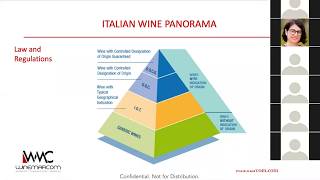 A Tour Of Italy Through Wines [upl. by Nwahsyt896]