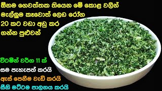 විටමින් පෙති බිව්වා වගේ තමයි මේක කෑවොත්  Athal kitchen mallum recipes  Dabala kola melluma online [upl. by Ancier212]