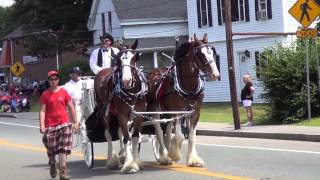 Stoughton MA 4th of July 2013 Parade complete HD [upl. by Parke667]