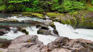 Flowing Water Stream for Meditation Stress Relief and Deep Relaxation [upl. by Ymaral833]