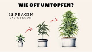 Ich beantworte 15 Fragen für 🥦Gärtner  QampA [upl. by Oicneserc501]