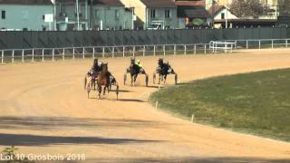 Lot 10 Grosbois 22 mars [upl. by Vaden703]