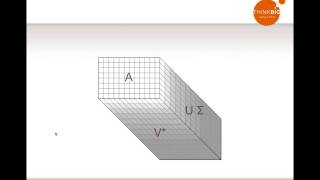 Demystifying Dimensionality Reduction [upl. by Ronel568]