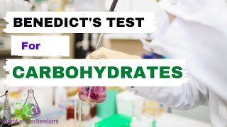 Benedicts Test  General test for identification of Carbohydrates [upl. by Novad]