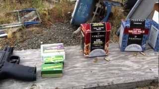 Taking some shots and reviewing some 22lr ammo options for the MampP22 pistol [upl. by Hurst803]