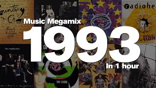 1993 in 1 Hour  Top hits including Counting Crows Duran Duran U2 The Cranberries and many more [upl. by Ruhl449]