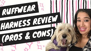 Ruffwear Harness Review Front Range Harness [upl. by Ariait430]