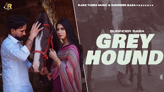 Greyhound  Full Song  Surinder Baba  G Skillz  New Punjabi Song 2024  Latest Punjabi Song 2024 [upl. by Yelsna]