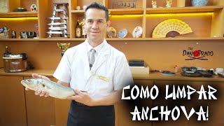 COMO LIMPAR ANCHOVA [upl. by Ahsineg]