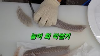 농어 회뜨기 Sea bass sashimi 막썰이 [upl. by Honoria]