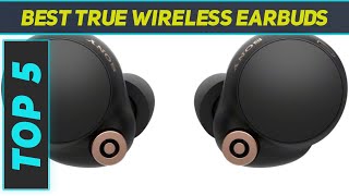 Top 5 Best True Wireless Earbuds in 2024 [upl. by Bonnette]