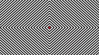 INSANE OPTICAL ILLUSION [upl. by Ynolem]