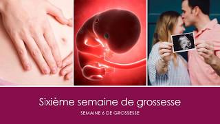 6 semaines de grossesse OU sixième semaine de grossesse [upl. by Angela]