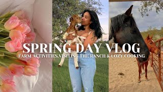 Productive Spring Day Vlog 🌷✨ [upl. by Wildon]