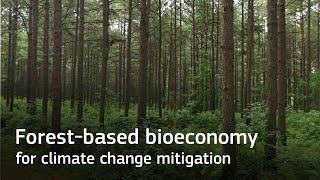 Forestbased bioeconomy for climate change mitigation [upl. by Eislek727]