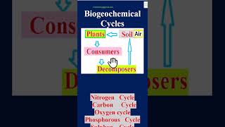 Biogeochemical cycles carboncycle nitrogencycle bscbotany neet oxygencycle bsczoology biology [upl. by Aicened]