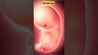 Baby Inside womb viral viralvideo gestation [upl. by Symer420]