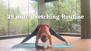 25 min Feel Good Stretches  After Climbing Routine [upl. by Ebonee]