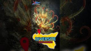 🧜‍♂️🌊 DES ORGANISMES ÉTRANGES EN CONGRÈS SCIENTIFIQUE 🌍✨ science explore shorts [upl. by Yc739]