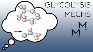 The Mechanisms of Glycolysis Part 1 [upl. by Modnar]