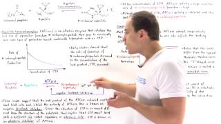 ATCase Allosteric Regulation [upl. by Assirod]