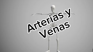 Arterias y venas [upl. by Ansaev189]