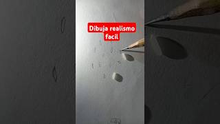 Como dibujar arroz realista comodibujarrealistaartedibujosalapiziperrealismotutorialdrawing [upl. by Suzy]