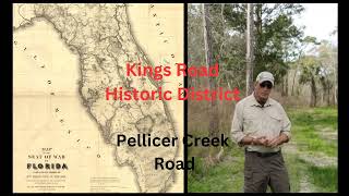 Pellicer Creek Road Flagler County Fl [upl. by Cynthea]