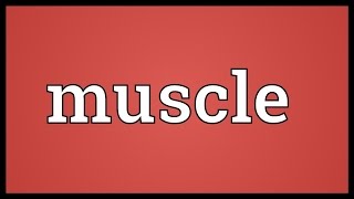 Muscle Meaning [upl. by Romy447]