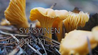 Syksyinen Saariseikkailu  Viikonloppu Päijänteellä ENG SUB [upl. by Eirrol94]