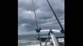 Fishing with the sonik gravity x5 flounder fishing cambois beach Northumberland [upl. by Aldwin]