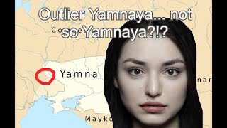 Eurogenes take on my Atypical Yamnaya sample I1917 [upl. by Mages498]