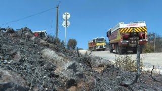 Occitanie feux maîtrisés dans lHérault et les PyrénéesOrientales  AFP [upl. by Aicilaf]