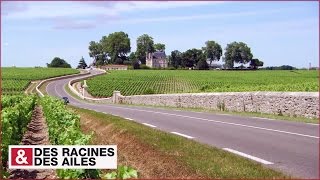 La route des Châteaux du Medoc [upl. by Nirra]