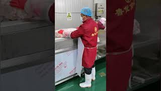 Frozen Meat Cutter Frozen Meat Cutting Machine 凍肉分塊機 大塊凍肉切塊機 凍肉絞肉機 冻肉分块机 大块冻肉切块机 冻肉绞肉机 [upl. by Giark436]