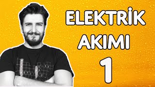 Elektrik Akımı ve Potansiyel Fark  Deney  TYT  PDF [upl. by Jagir]