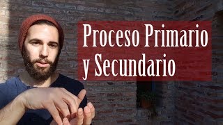 Proceso Primario y Proceso Secundario  Freud [upl. by Itsuj]