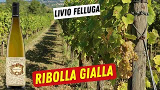 Scegliere il Vino  Ribolla Gialla Colli Orientali DOC  Livio Felluga [upl. by Lajet]