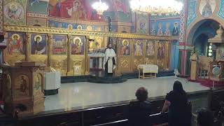 Assumption Greek Orthodox Church Live Stream [upl. by Haleemak176]