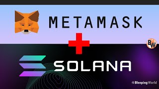 How to Add Solana Network to MetaMask Wallet [upl. by Lehacim]