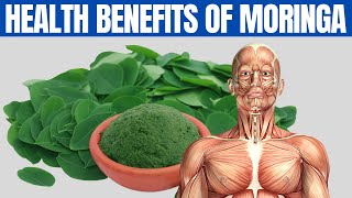 MORINGA BENEFITS  16 Amazing Health Benefits of Moringa You Should Know [upl. by Sessylu]