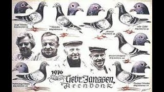 Racing Pigeon History  The Janssen Brothers [upl. by Eggett]