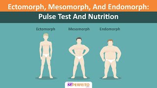 Ectomorph Mesomorph And Endomorph Pulse Test And Nutrition [upl. by Cacilia185]