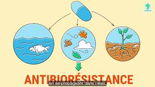 Les antibiotiques  quels sont les risques dun mauvais usage  PROMISE x ANEPF 2 [upl. by Noxin416]